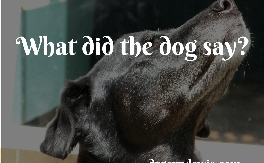 What did the dog say? | Dr. Gerry Lewis